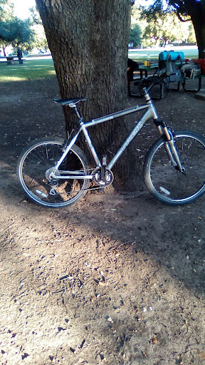 Sporting Goods Store «Second Hand Sports & Game Swap LLC», reviews and photos, 204 E McKinney St, Denton, TX 76201, USA