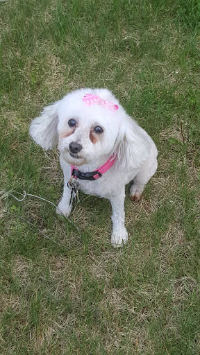 Pet Supply Store «PetSmart», reviews and photos, 1520 Pleasant Valley Rd, Manchester, CT 06042, USA