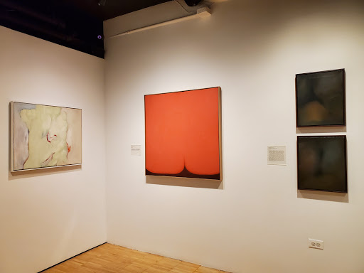 Art Gallery «Grey Art Gallery», reviews and photos, 100 Washington Square E, New York, NY 10003, USA