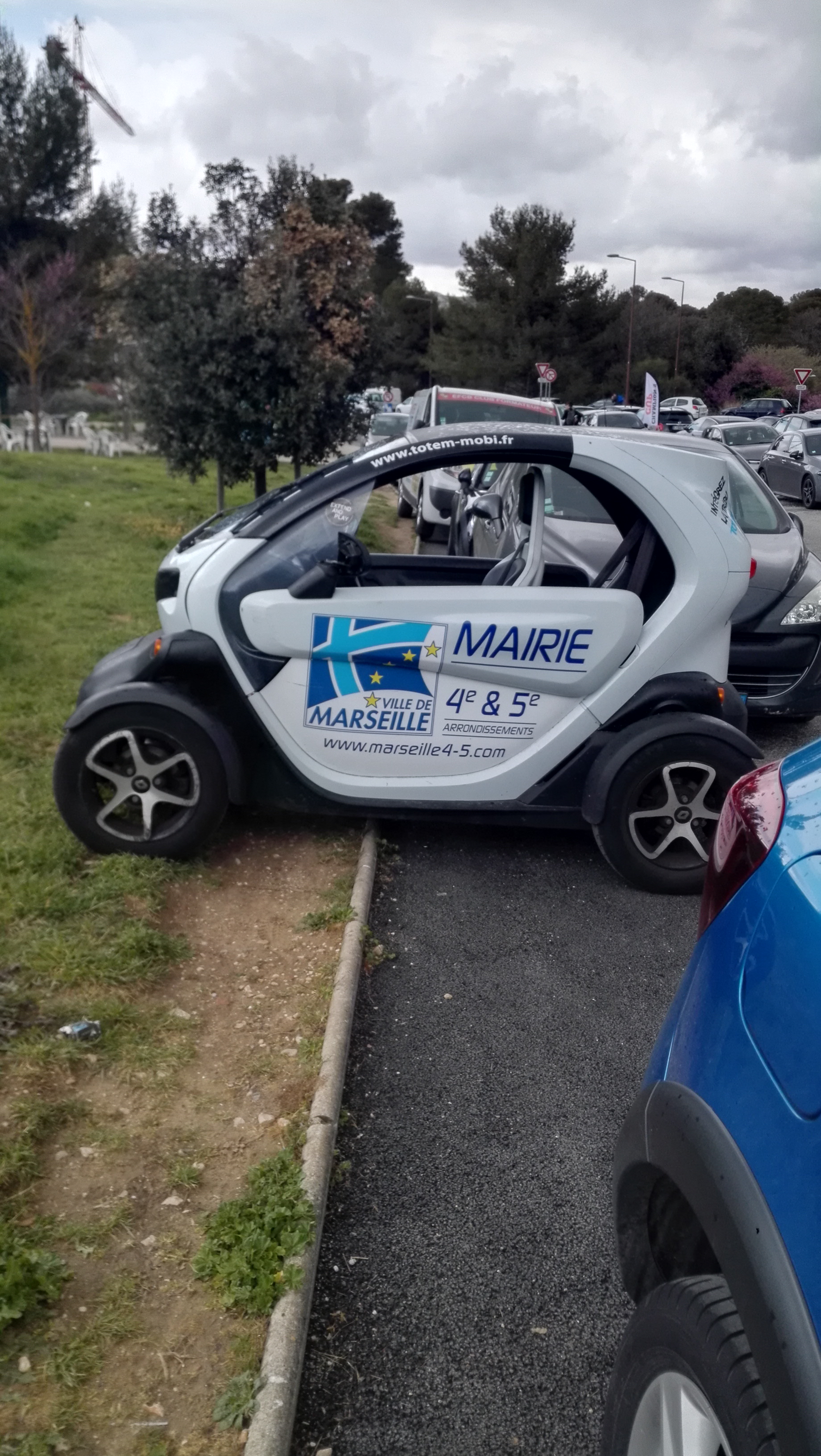 Photo n° 1 de l'avis de Caille. fait le 07/04/2019 à 17:17