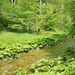 Photo n°17 de l'avis de Mark.e fait le 03/06/2019 à 11:09 sur le  Burgstüble à Löffingen