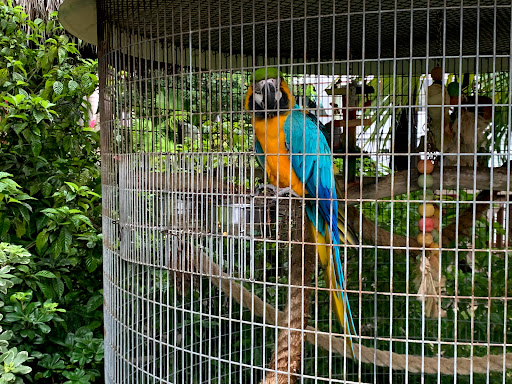 Sightseeing Tour Agency «Jungle Queen Riverboat», reviews and photos, 801 Seabreeze Blvd, Fort Lauderdale, FL 33316, USA