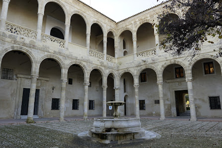 Castillo Palacio de los Ribera Pl. Alcalde José González, 2, 11640 Bornos, Cádiz, España