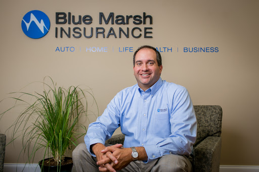 Insurance Agency «Blue Marsh Insurance, Inc.», reviews and photos