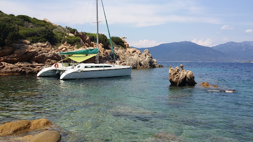 Agence d'excursions en bateau Promenade en mer à la voile valinco découverte Propriano