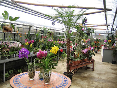 Les Orchidées du Val d'Yerres à Brunoy