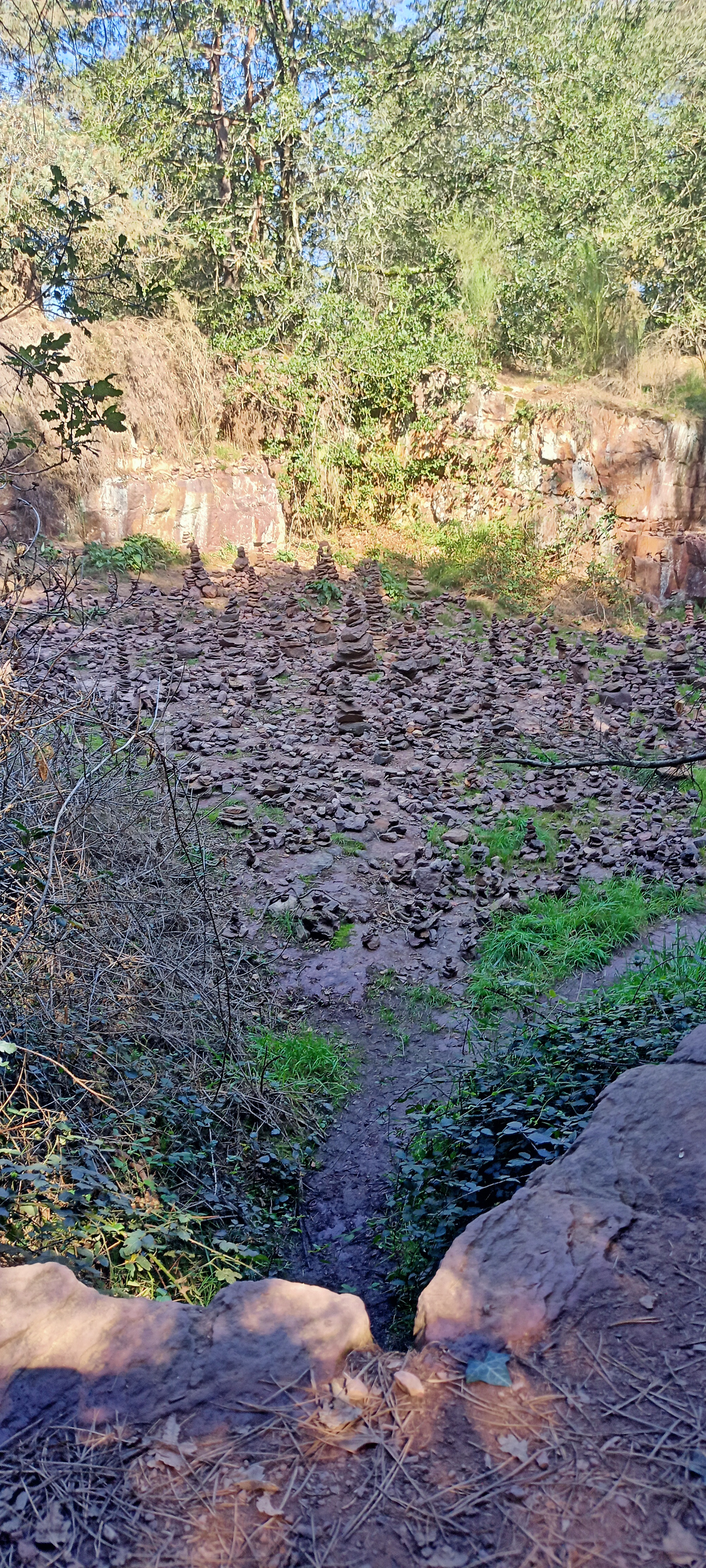 Photo n° 10 de l'avis de Angélique. fait le 08/10/2023 à 19:26