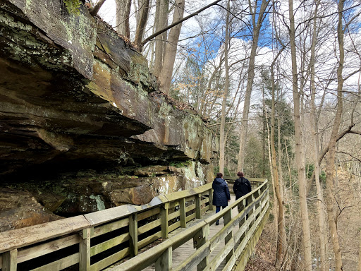 Tourist Attraction «Brandywine Gorge Trail», reviews and photos, 8176 Brandywine Rd, Sagamore Hills, OH 44067, USA