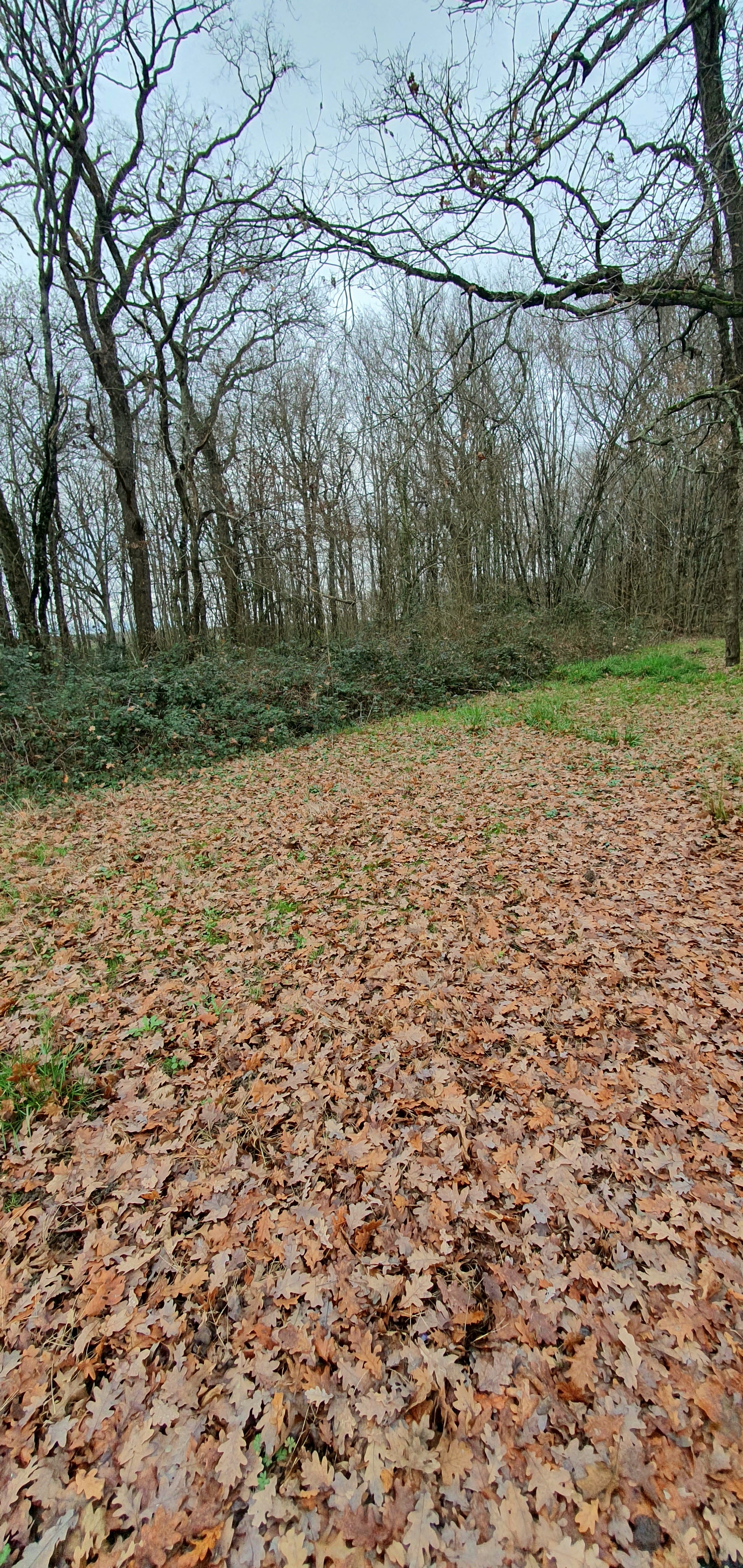 Photo n° 10 de l'avis de KASPAR. fait le 24/12/2023 à 17:00