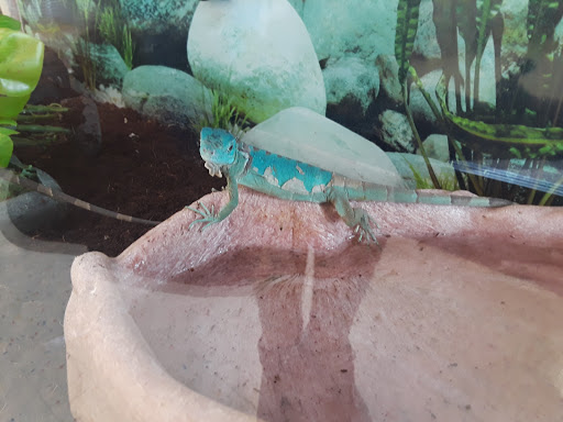 Pet Supply Store «Petco», reviews and photos, 1851 Sunrise Hwy, Bay Shore, NY 11706, USA