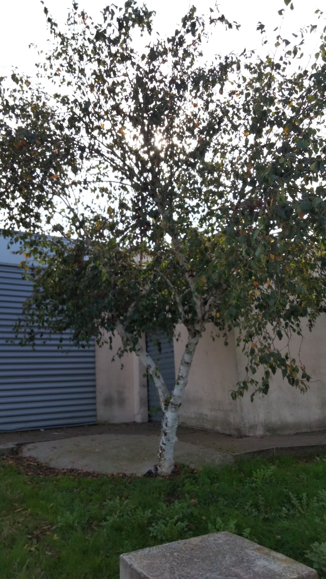 Photo n° 32 de l'avis de Francisco.a fait le 22/10/2022 à 12:01