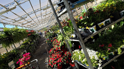 Department Store «Walmart Supercenter», reviews and photos, 4400 13th St, St Cloud, FL 34769, USA