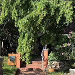 Photo n°1 de l'avis de Sven.o fait le 22/08/2021 à 12:33 sur le  Café WACH à Wermsdorf