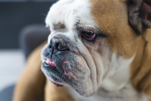 Roofing Contractor «T&S Roofing Systems», reviews and photos, 6463 Bird Rd, Miami, FL 33155, USA