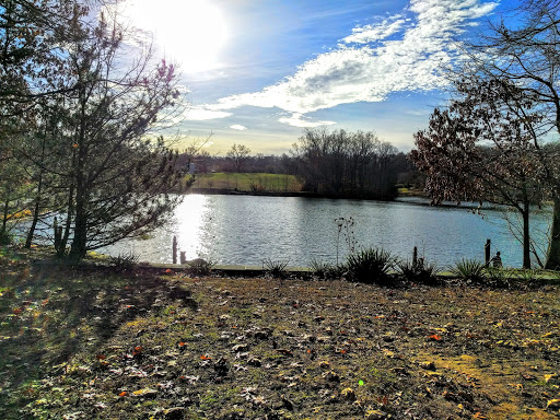 Winery «Tarara Winery», reviews and photos, 13648 Tarara Ln, Leesburg, VA 20176, USA