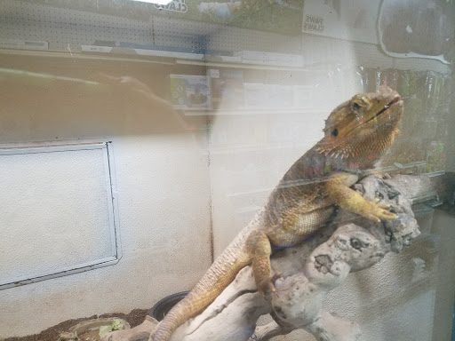 Pet Supply Store «House of Pets Inc», reviews and photos, 29500 Ford Rd, Garden City, MI 48135, USA