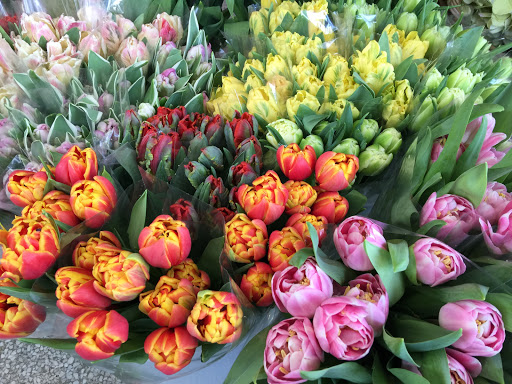 Florist «Jephry Flower Studio», reviews and photos, 432 Broadway, Providence, RI 02909, USA