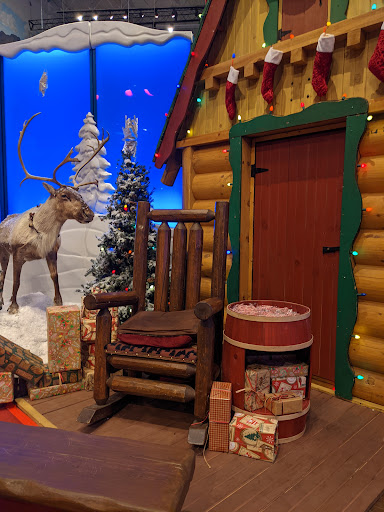 Sporting Goods Store «Bass Pro Shops», reviews and photos, 1133 N Dobson Rd, Mesa, AZ 85201, USA