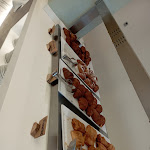 Photo n°2 de l'avis de Silvia.. fait le 19/09/2023 à 03:17 sur le  Hotel Ambasciatori à Cattolica