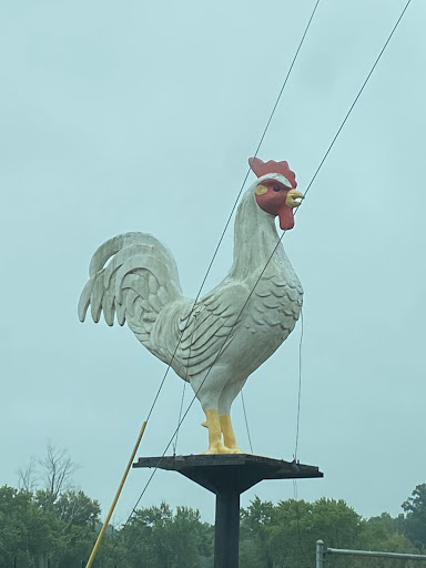 Fairground «Owen County Fairgrounds», reviews and photos, S East St, Spencer, IN 47460, USA