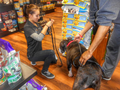 Pet Supply Store «Pet Valu», reviews and photos, 3475 Berlin Turnpike, Newington, CT 06111, USA