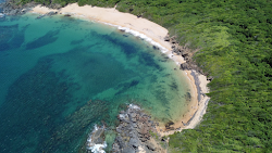 Photo de Playa Colora avec un niveau de propreté de très propre