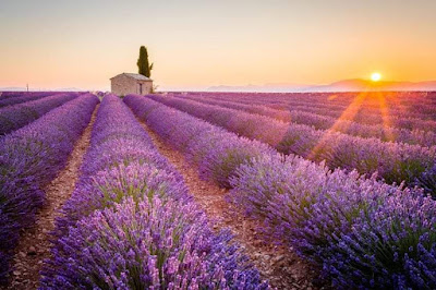 Bien Être en Provence à L'Isle-sur-la-Sorgue