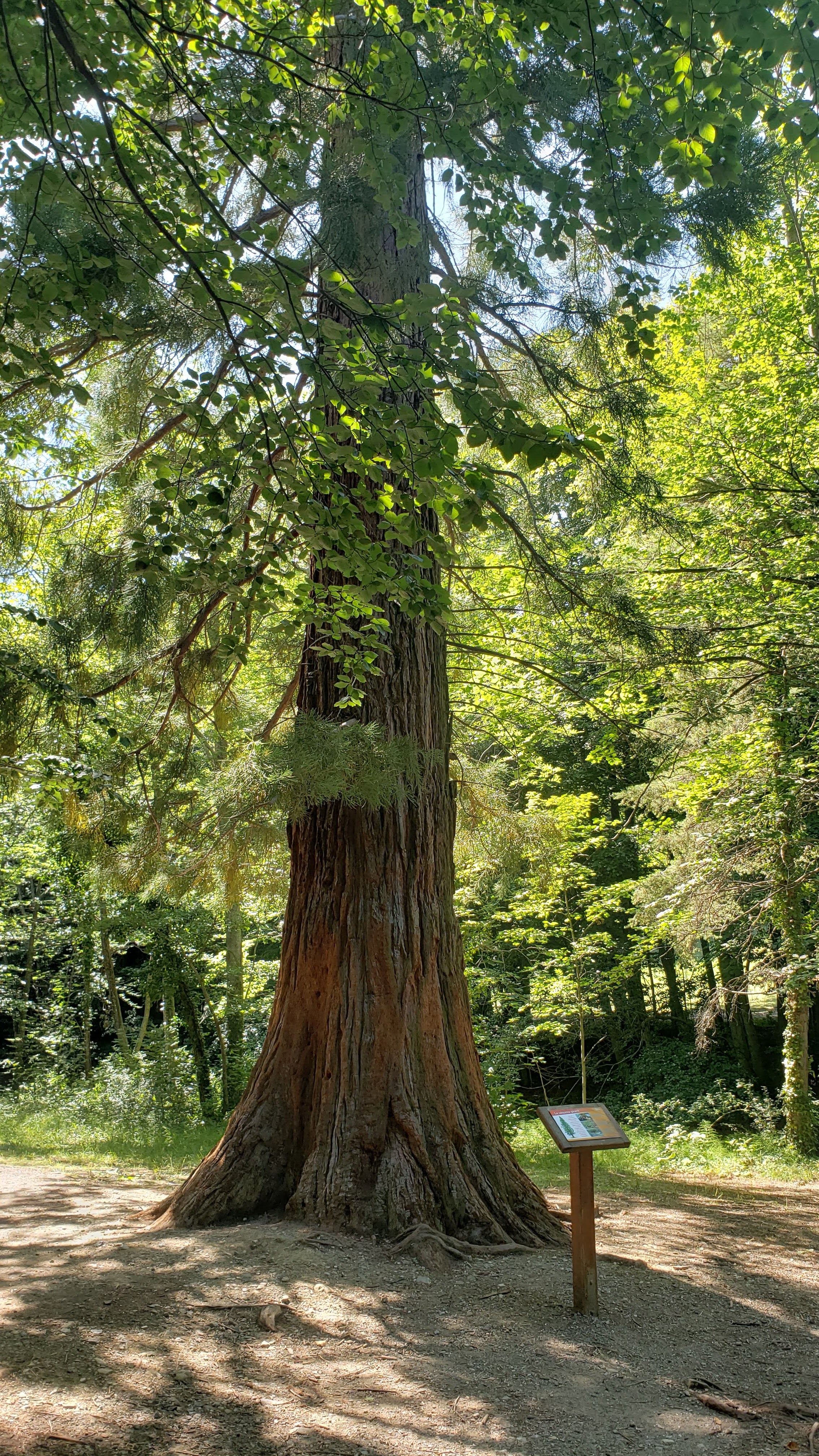 Photo n° 1 de l'avis de françois.a fait le 31/08/2023 à 12:00