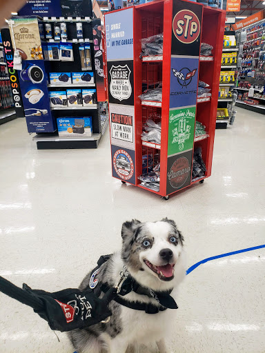 Auto Parts Store «AutoZone», reviews and photos, 4210 N State Rd 7, Coral Springs, FL 33073, USA