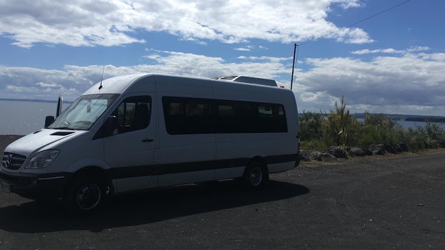 Viajes especiales Temuco - Servicio de transporte