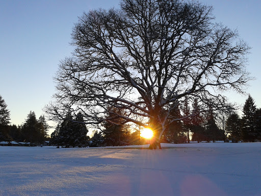Golf Course «Willamette Valley Country Club», reviews and photos, 900 Country Club Pl, Canby, OR 97013, USA