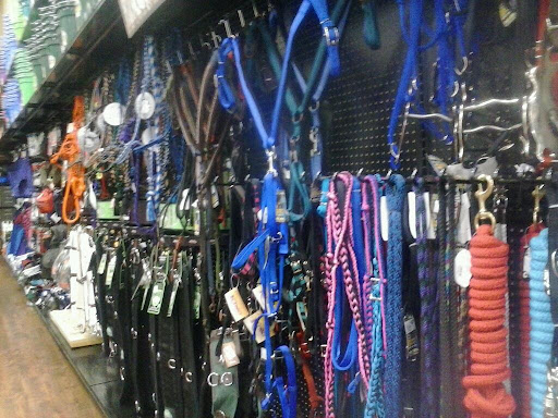 Department Store «Coastal Farm & Ranch», reviews and photos, 1355 Goldfish Farm Rd SE, Albany, OR 97322, USA