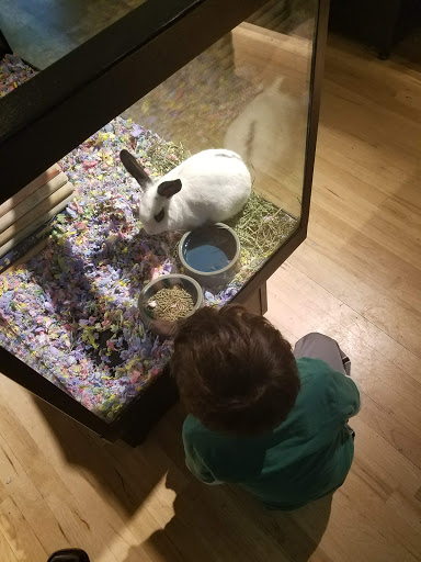 Pet Store «Critter Cabana», reviews and photos, 516 E 1st St, Newberg, OR 97132, USA