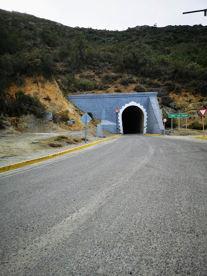 Túnel Las Palmas