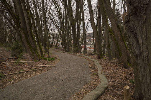 Park «Lewis Park», reviews and photos, 1120 15th Ave S, Seattle, WA 98144, USA