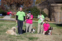 Extraordinary Pet Service - Photo 2 - Car repair in Chapel Hill, NC, Durham