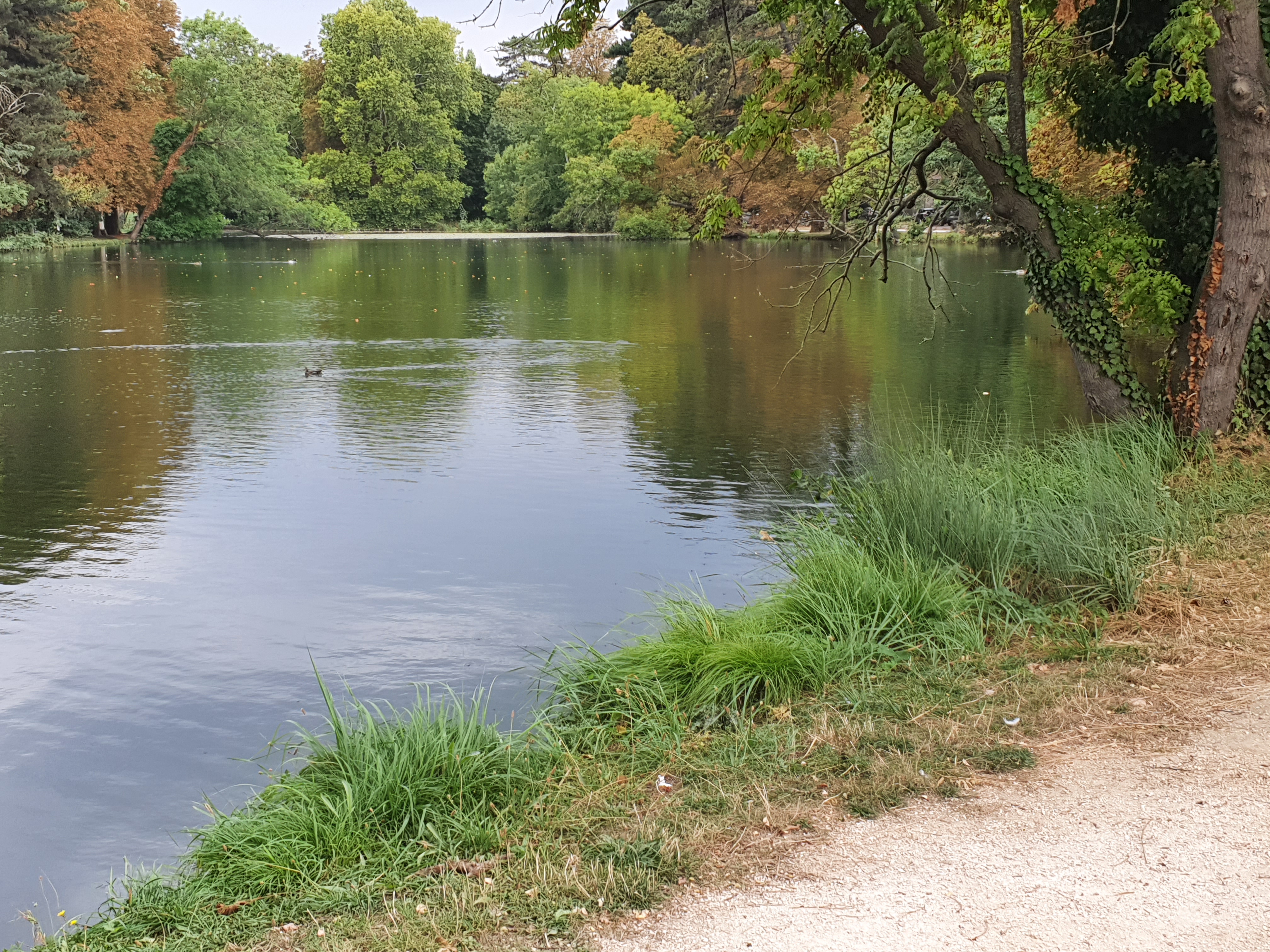 Photo n° 2 de l'avis de Audrey.o fait le 26/09/2020 à 12:46