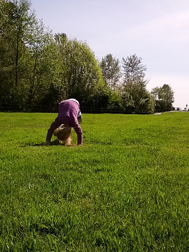 Conference Center «Des Moines Beach Park Auditorium», reviews and photos, 22030 Cliff Ave S, Des Moines, WA 98198, USA