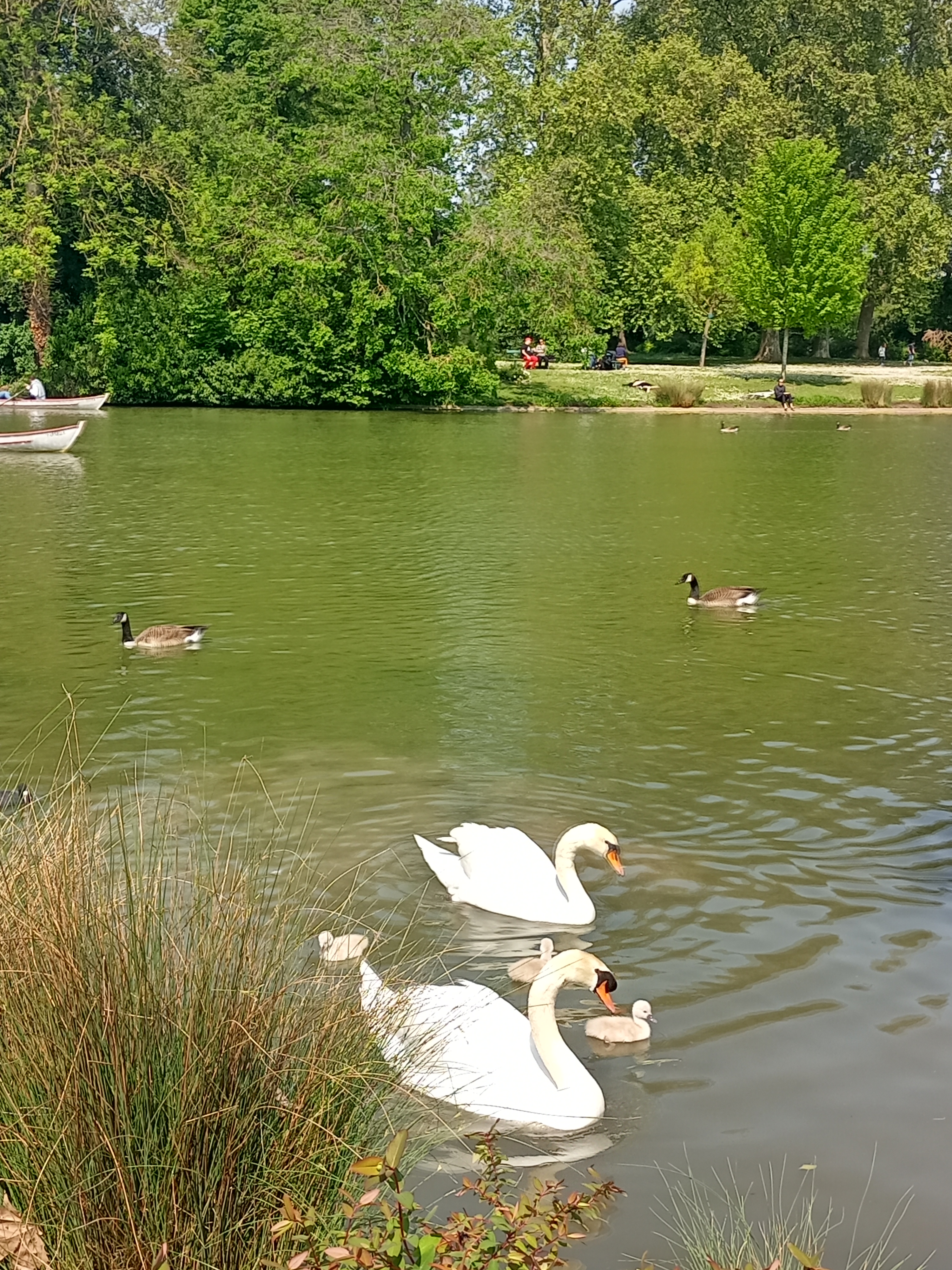 Photo n° 2 de l'avis de LUCIE.P fait le 16/05/2023 à 18:58