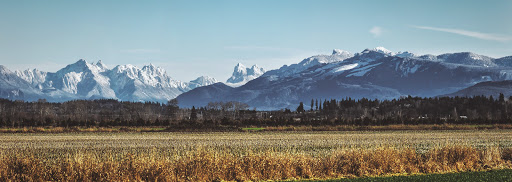 Real Estate Agency «Rio Ingram Real Estate», reviews and photos, 18333 Bothell Way NE Ste. 107, Bothell, WA 98011, USA