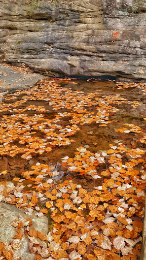 Tourist Attraction «Ozone Falls», reviews and photos, 14563 TN-1, Rockwood, TN 37854, USA