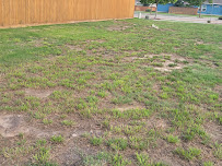 Goodwin & Company - Photo 9 - Car repair in Austin, TX, Round Rock