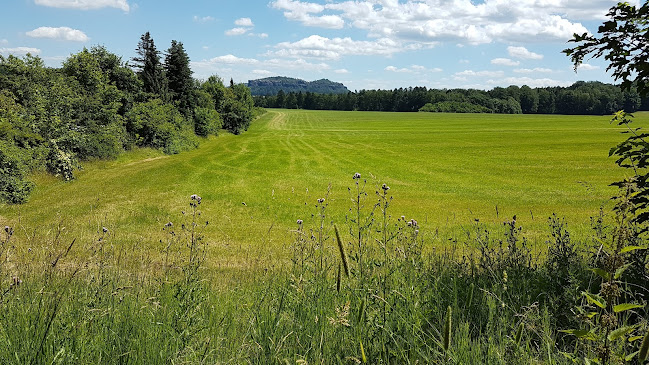 Nikolsdorfer Berg 7, 01824 Königstein