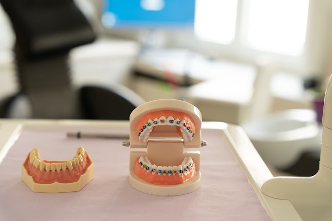 Zahnarzt Bern | Zahnarztpraxis Bern | Laserdent Laserzahnmedizin Öffnungszeiten