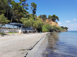 Artaki beach'in fotoğrafı biraz temiz temizlik seviyesi ile