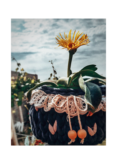 Tejidos al Crochet | Opuntia