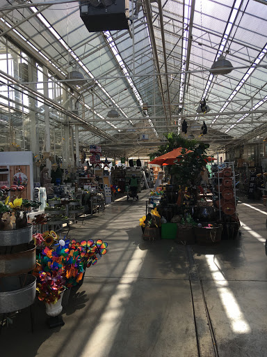 Garden Center «Dees Nursery & Florist», reviews and photos, 69 Atlantic Ave, Oceanside, NY 11572, USA