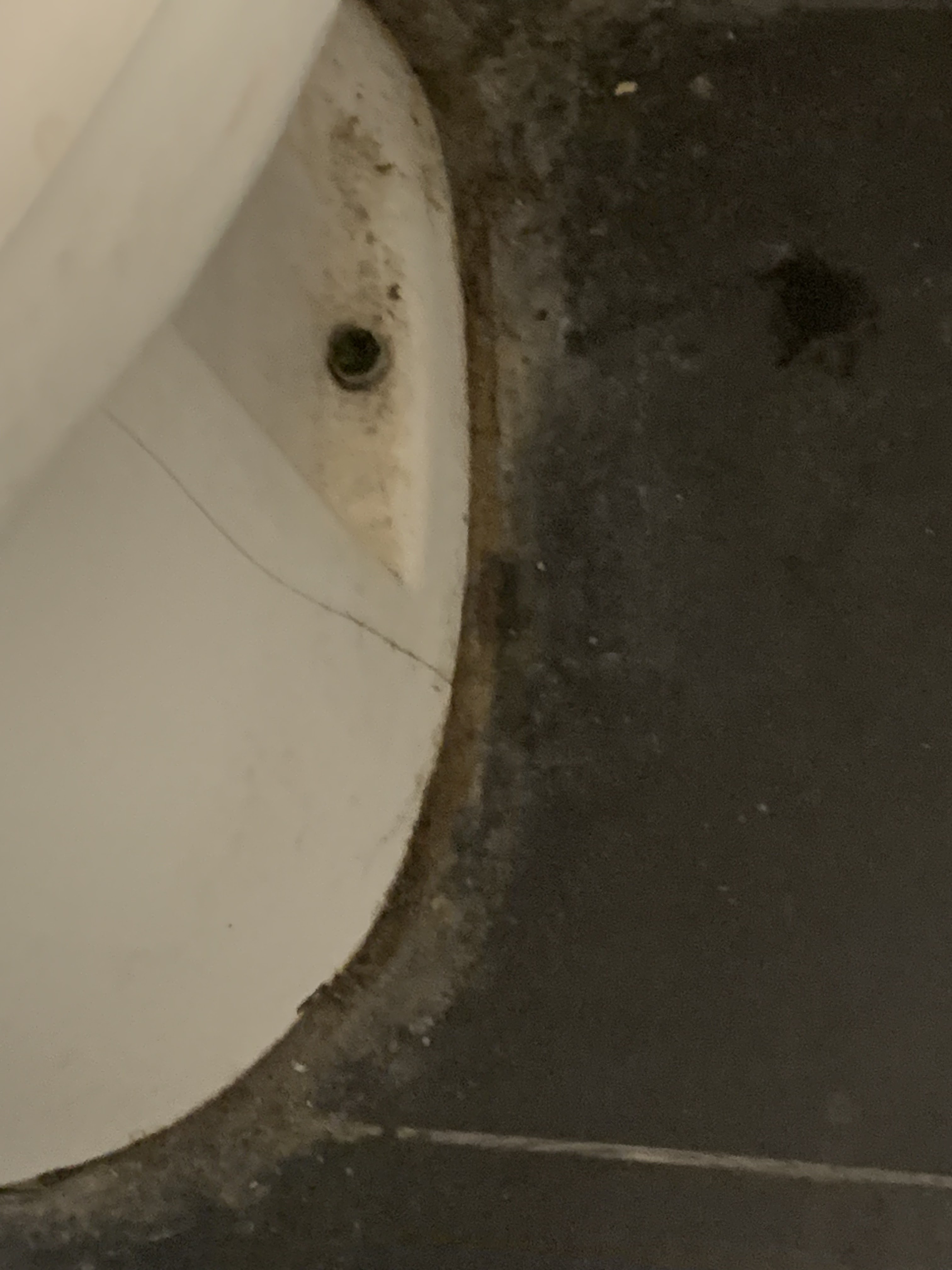 Photo n° 4 de l'avis de B.P fait le 22/02/2024 à 16:58