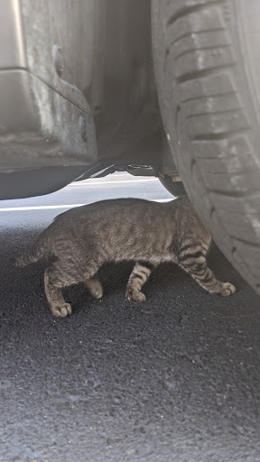 Winery «Staller Estate Winery», reviews and photos, W8896 County Rd A, Delavan, WI 53115, USA