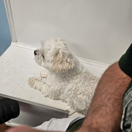 East Bullitt Animal Clinic